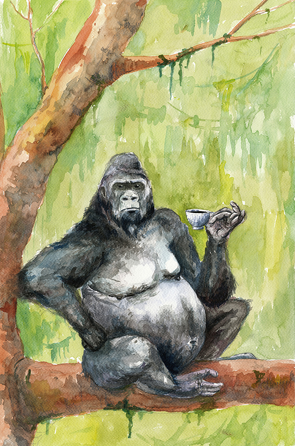 Kaffeabe gorilla