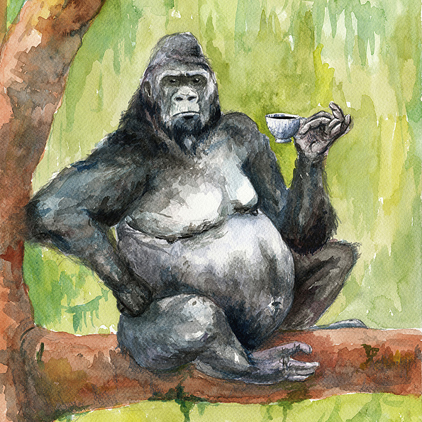 Kaffeabe II – gorilla